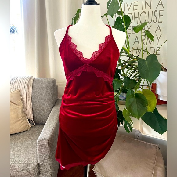 New with Tags! Cider Dress Sz Med. - Picture 1 of 3